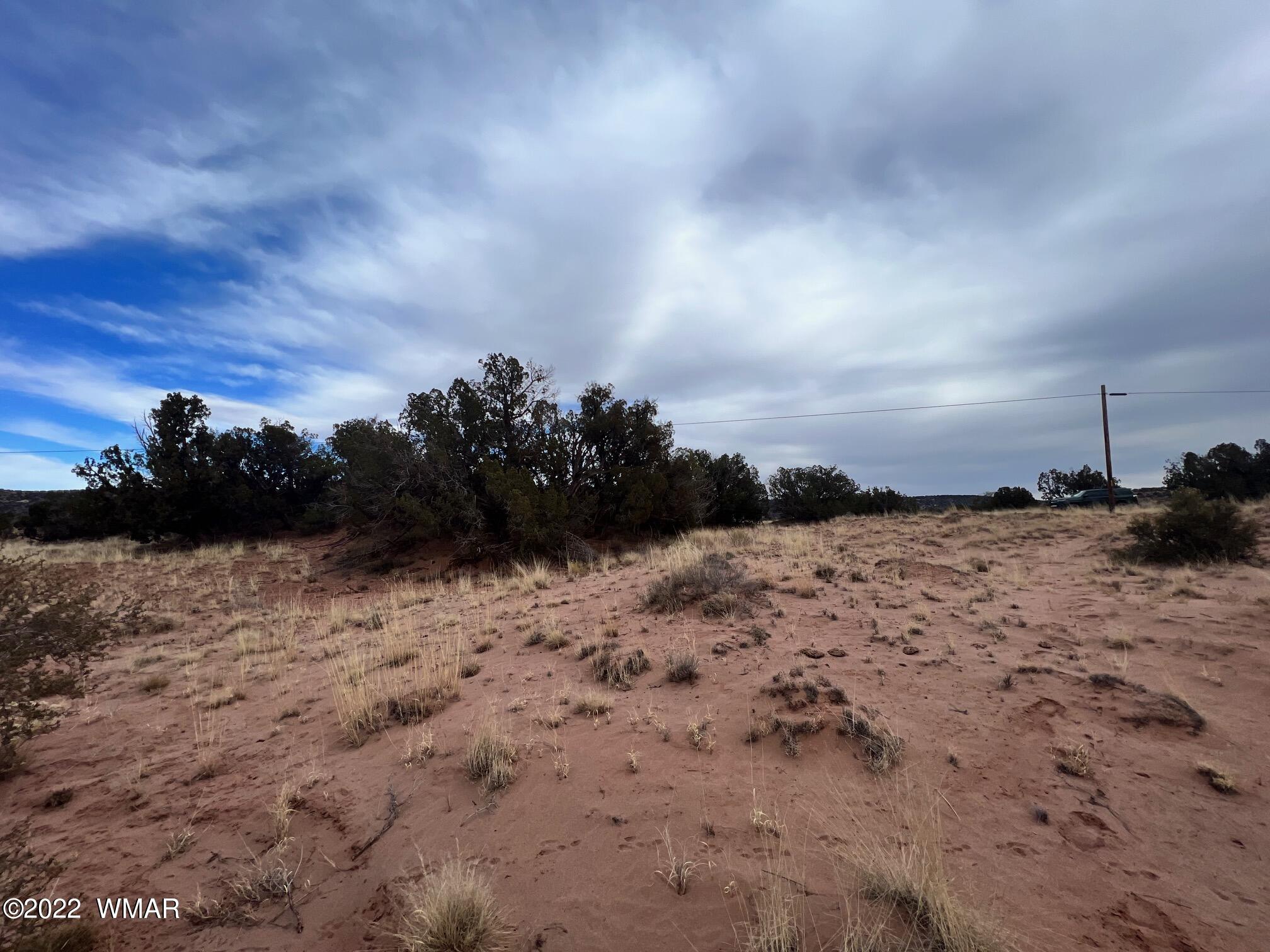 9156 San Carlos Road Snowflake, AZ 85937 - Photo 10 of 15