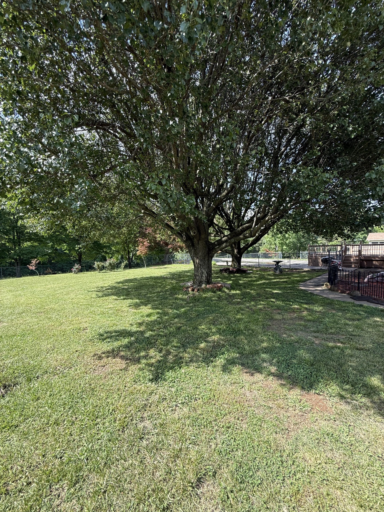 3168 Maxey Road Cedar Hill, TN 37032 - Photo 17 of 40 a view of outdoor space with trees all around