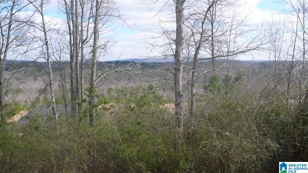 218 Levine Road Odenville, AL 35120 - Photo 4 of 9