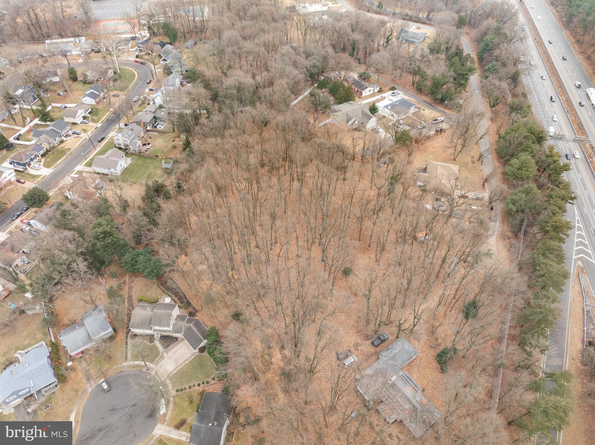 413 Company Street Lawnside, NJ 08045 - Photo 4 of 7 a picture of tree