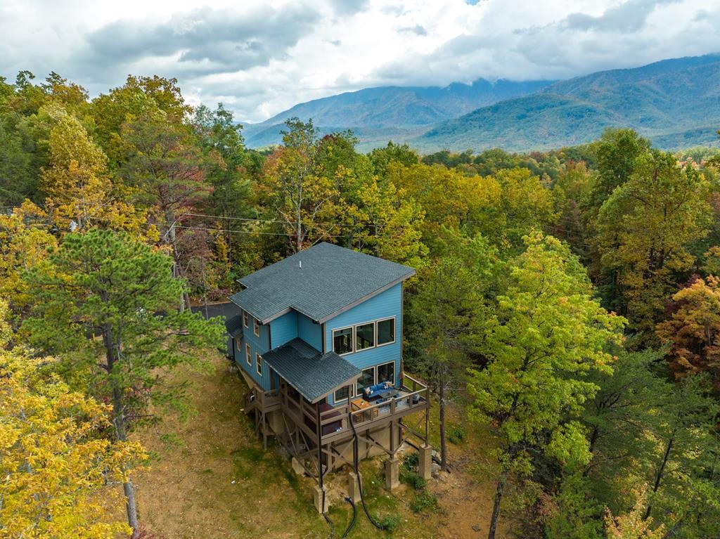 1105 Mathis Hollow Road Gatlinburg, TN 37738 - Photo 41 of 45