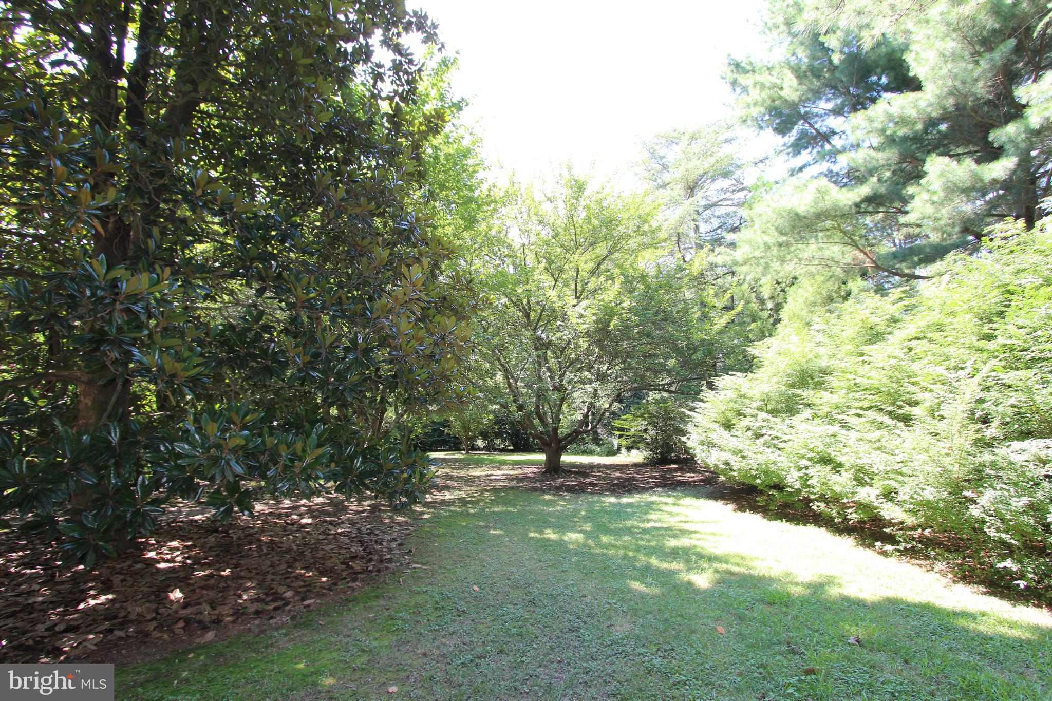 7308 Waverly Island Road Easton, MD 21601 - Photo 26 of 39 Gallery Image 26