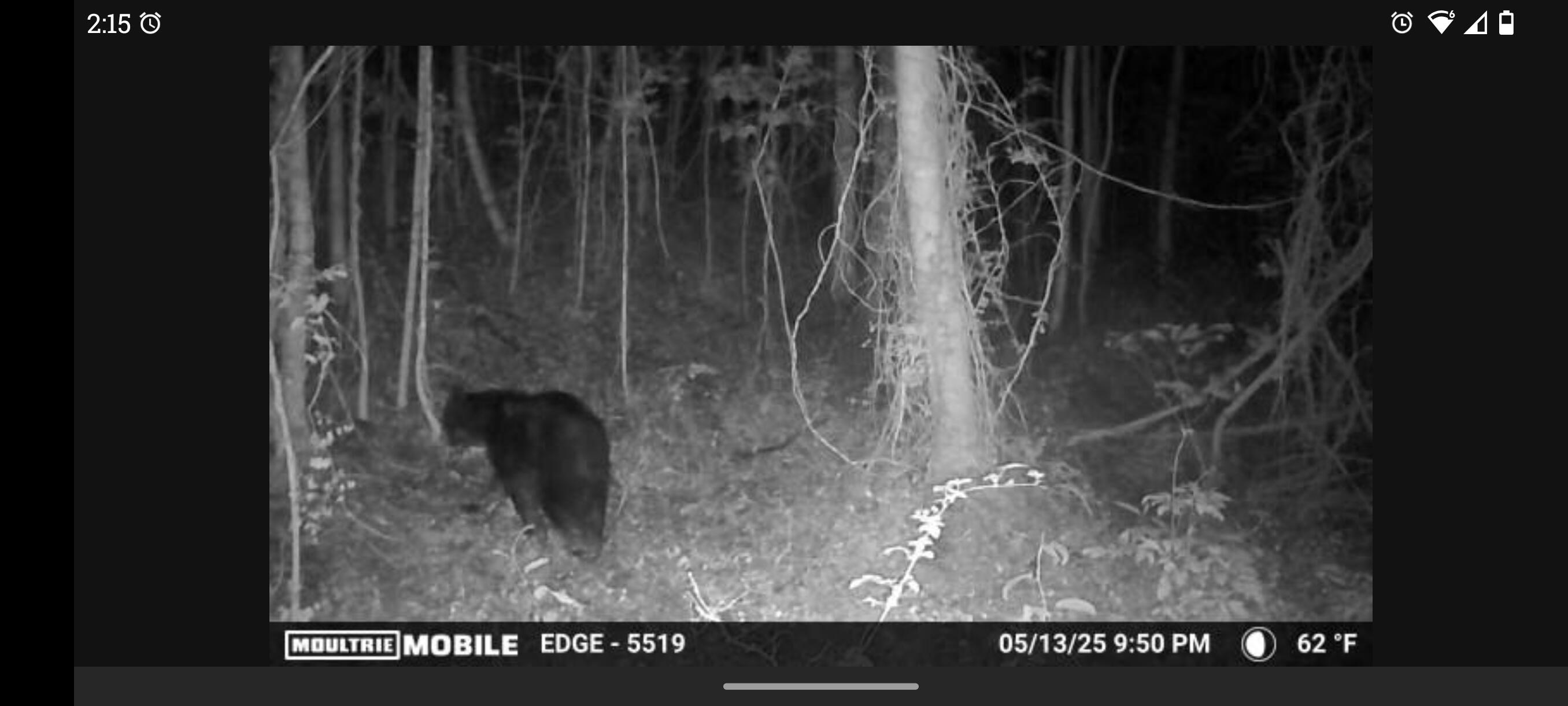 6 Toby Road Manchester, KY 40962 - Photo 12 of 14 Screenshot_20260127-141555.Moultrie