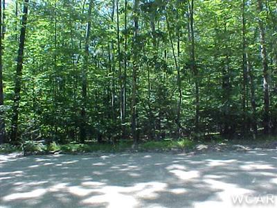 9930 Rising Star Lane, Unit 113 Canadian Lakes, MI 49346 - Photo 2 of 6 Additional Photo