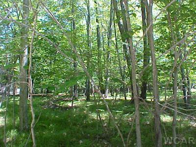 9930 Rising Star Lane, Unit 113 Canadian Lakes, MI 49346 - Photo 3 of 6 Additional Photo