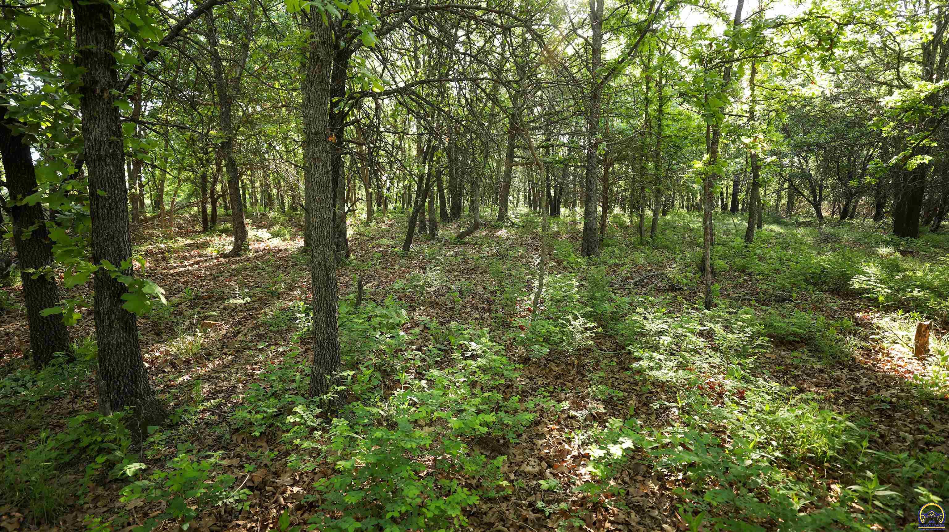377 Julep Road Yates Center, KS 66783 - Photo 62 of 87 Gallery Image 62