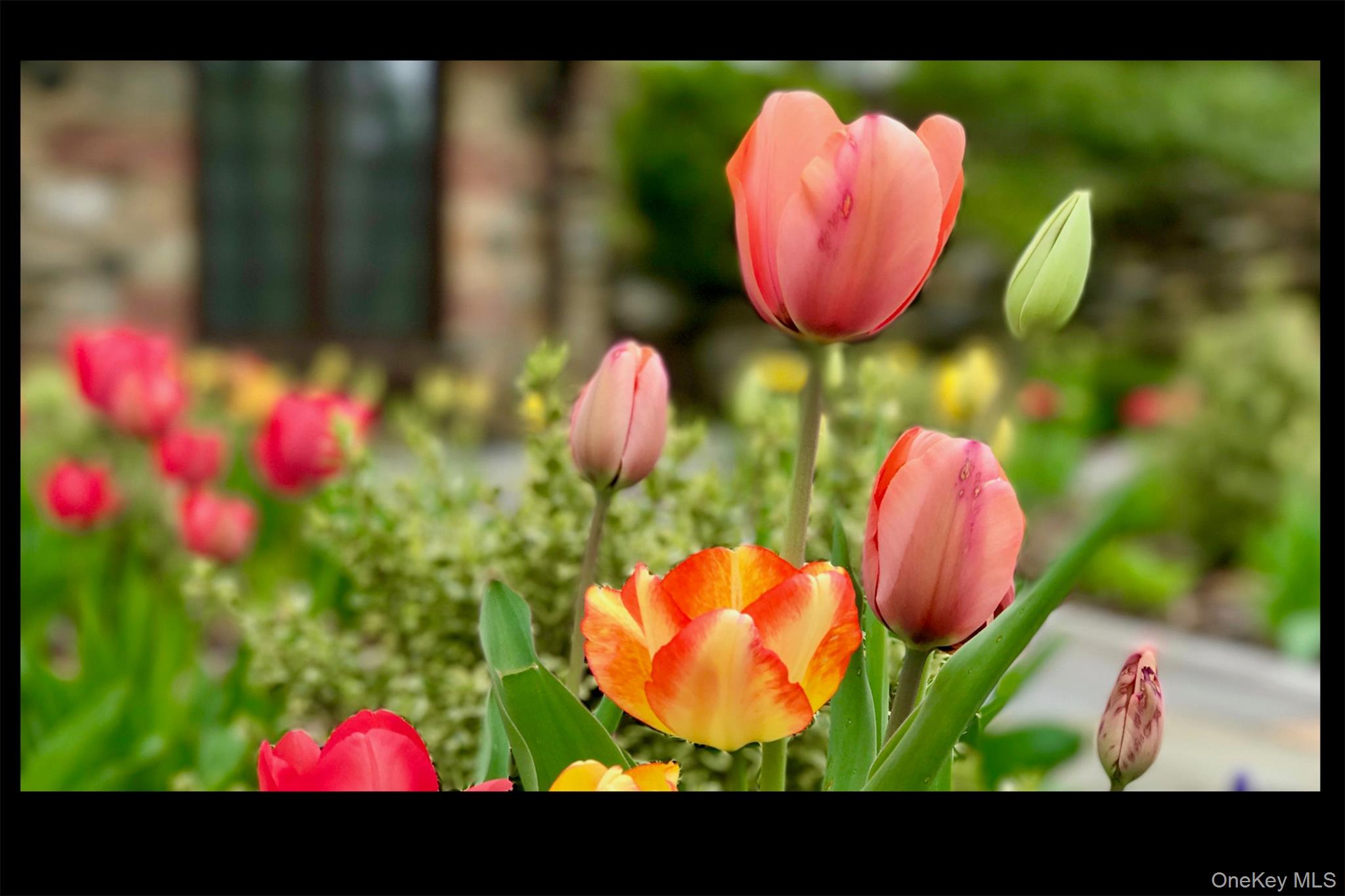 116 Potter Road Scarsdale, NY 10583 - Photo 2 of 38 The beauty of springtime.