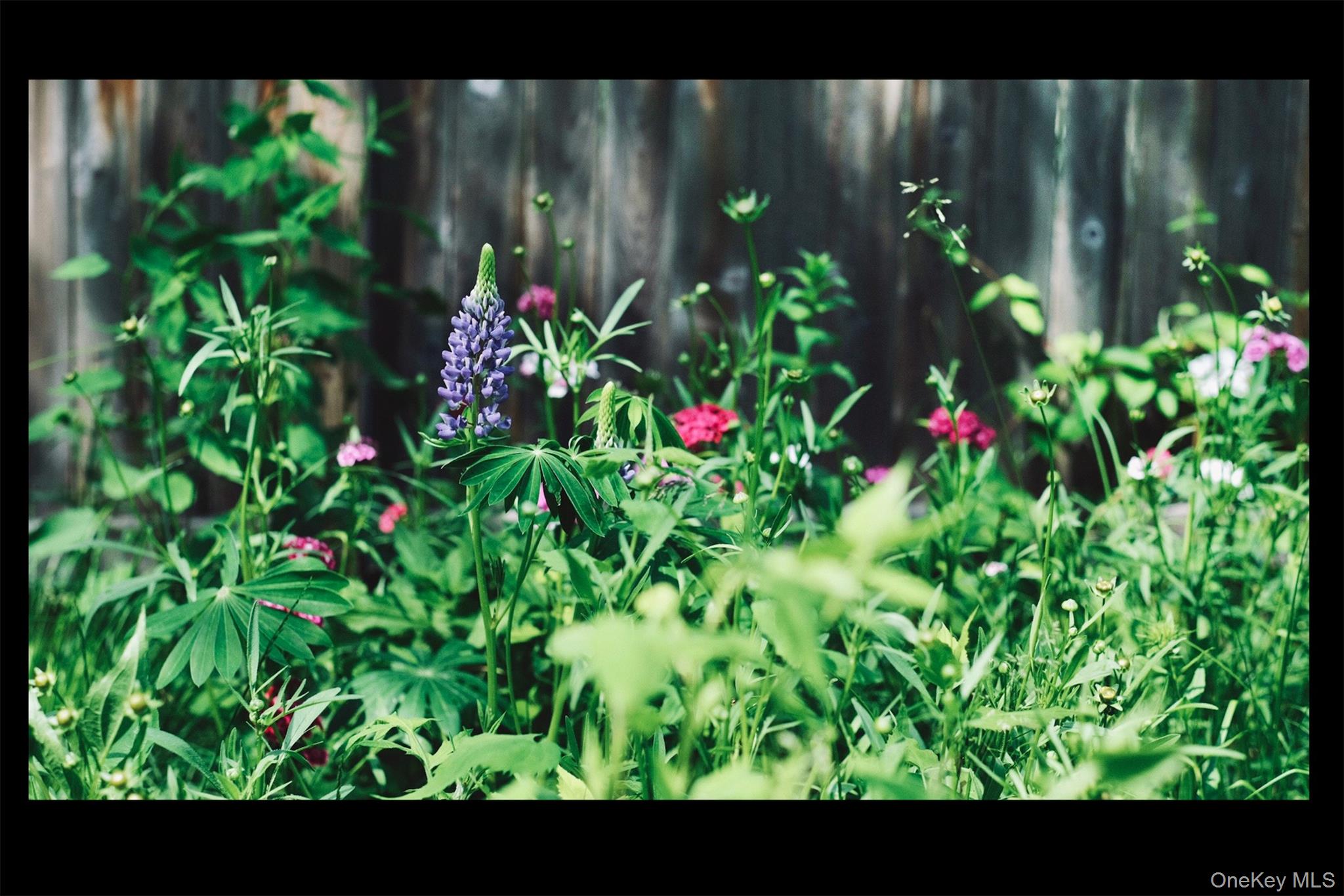 116 Potter Road Scarsdale, NY 10583 - Photo 22 of 38 Reminiscent of an English garden.