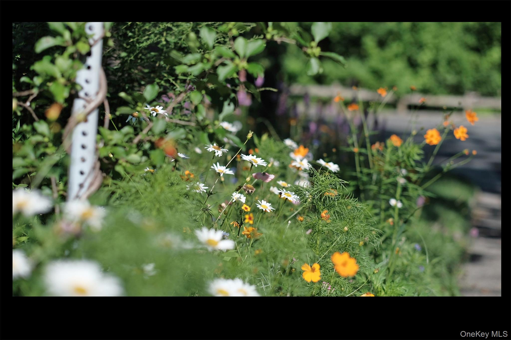 116 Potter Road Scarsdale, NY 10583 - Photo 23 of 38 So pretty.