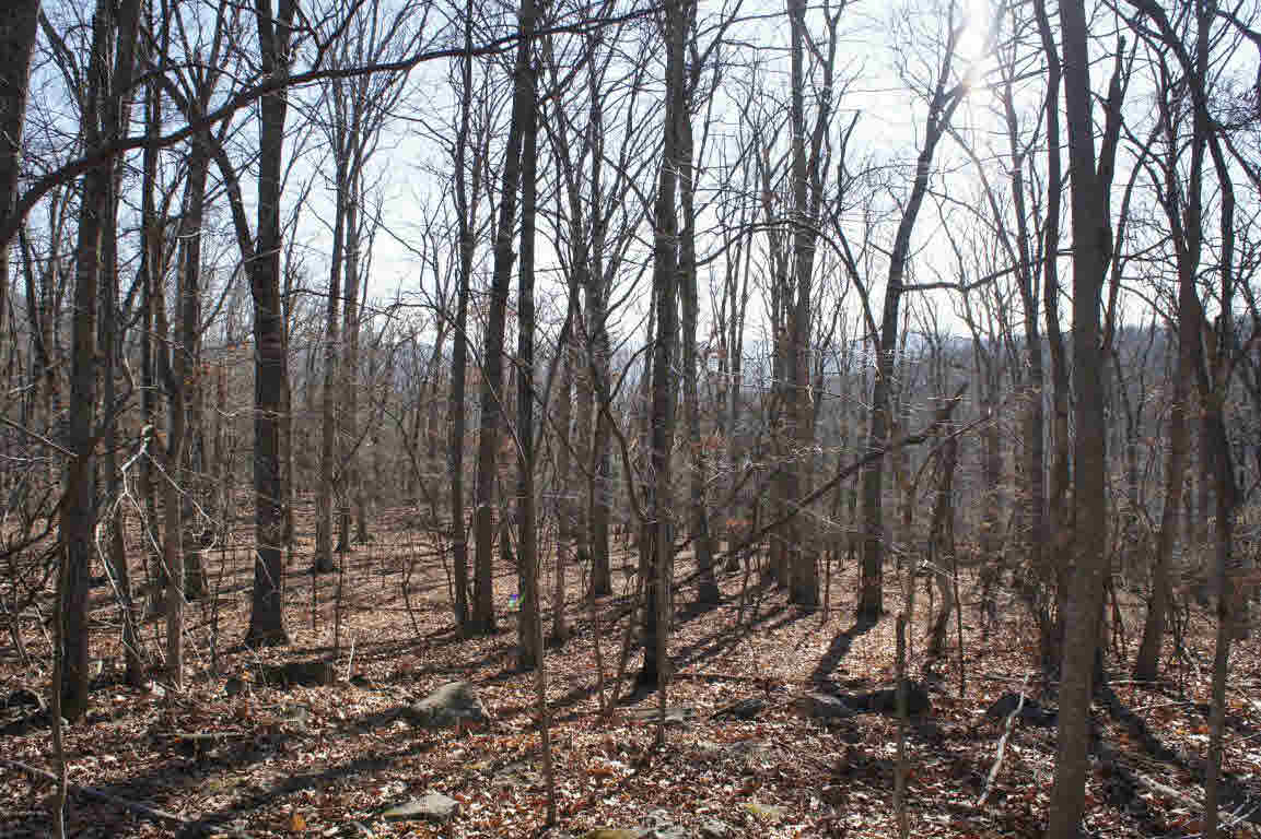 3645 Deer Run Road Blacksburg, VA 24060 - Photo 1 of 19 Gallery Image 1