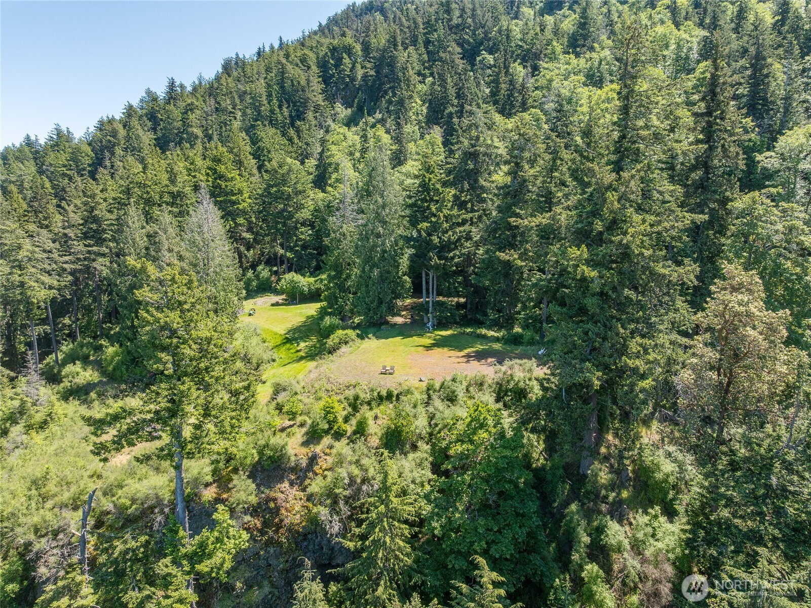 463 Wright Road Orcas Island, WA 98245 - Photo 26 of 40 a view of outdoor space and trees