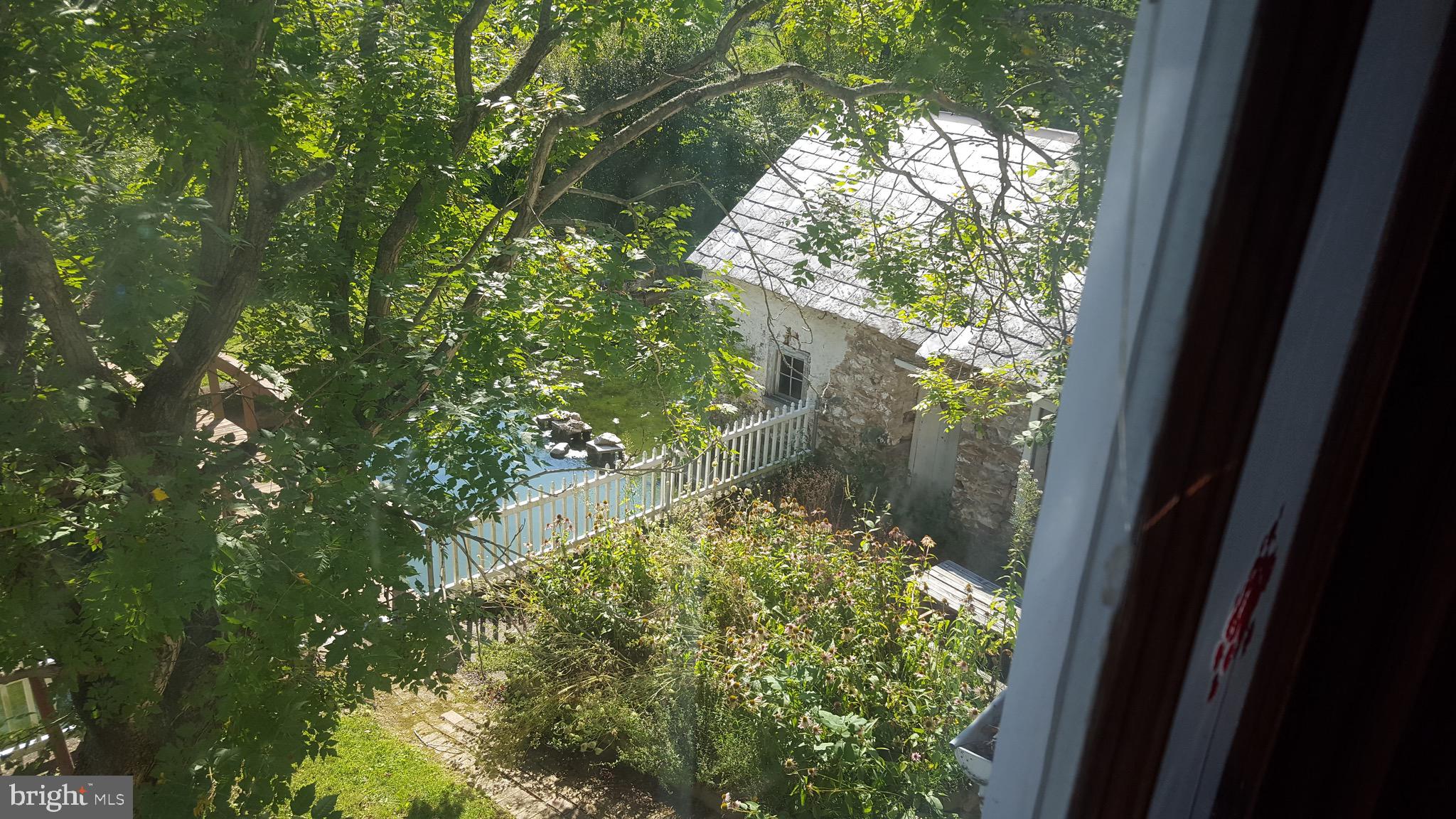 2902 Lower Saucon Road, Unit A&B Hellertown, PA 18055 - Photo 20 of 53 a closeup of a tree