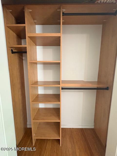 14 Jonathan Drive Manahawkin, NJ 08050 - Photo 24 of 41 closet 2