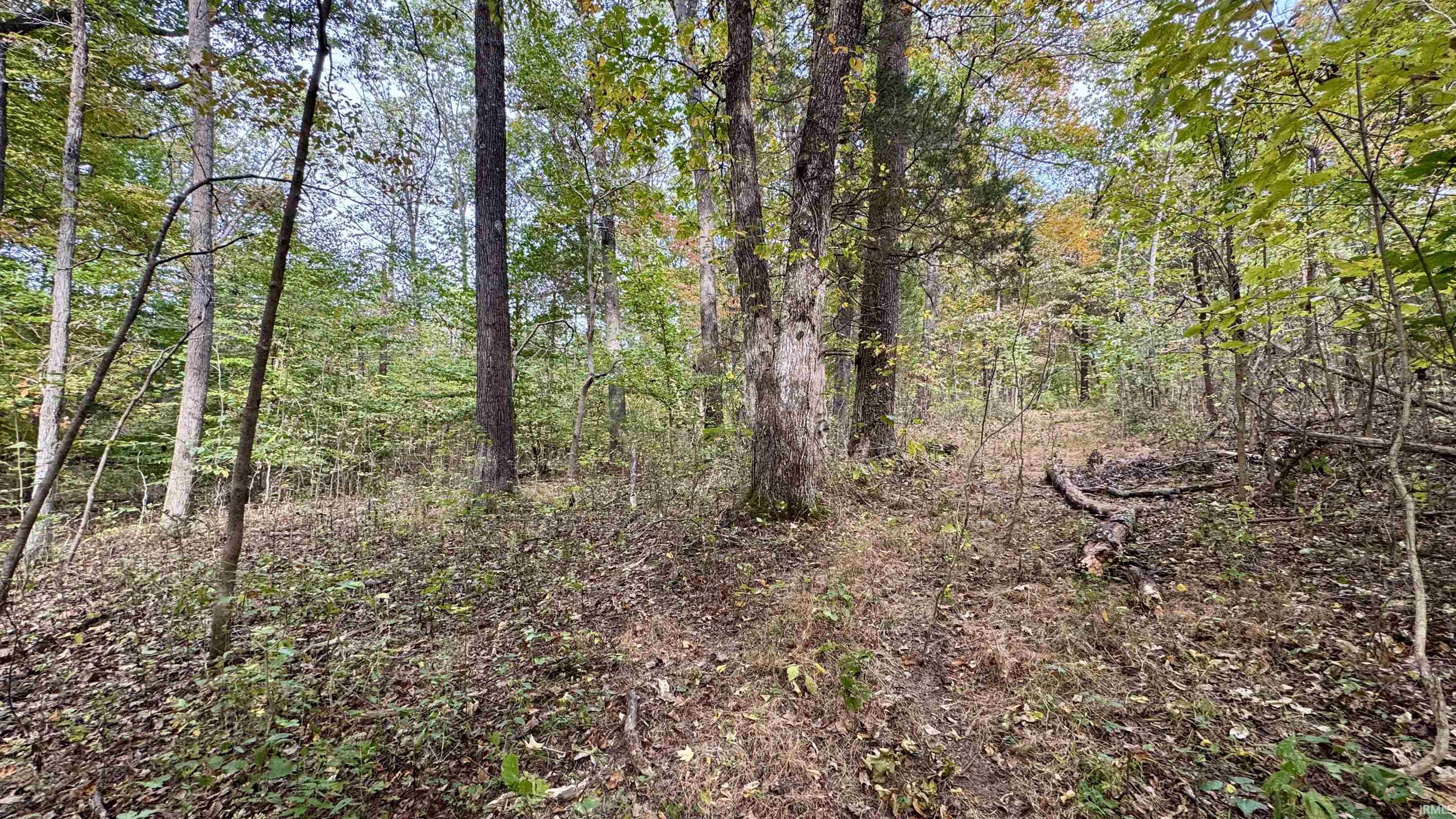 950 Earl Road Mitchell, IN 47446 - Photo 22 of 35