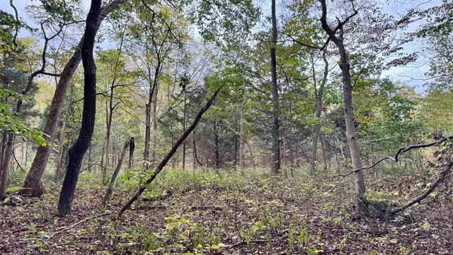 $272,500 | 950 Earl Road, Mitchell, IN 47446