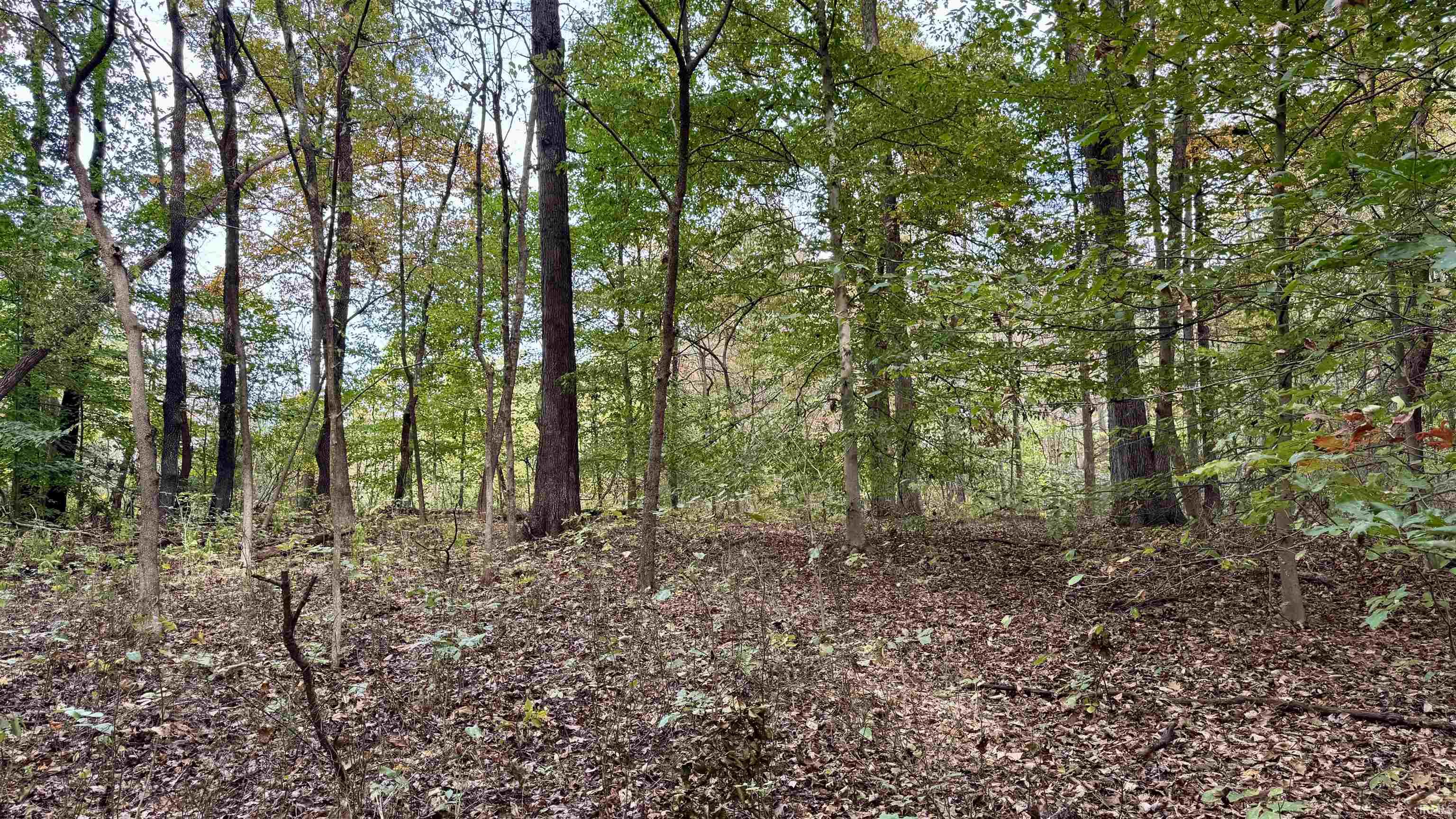 950 Earl Road Mitchell, IN 47446 - Photo 25 of 35