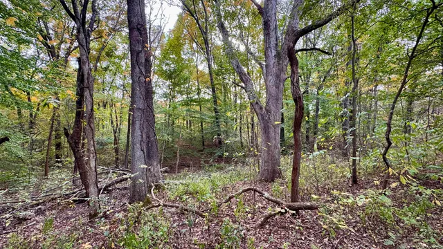 $272,500 | 950 Earl Road, Mitchell, IN 47446