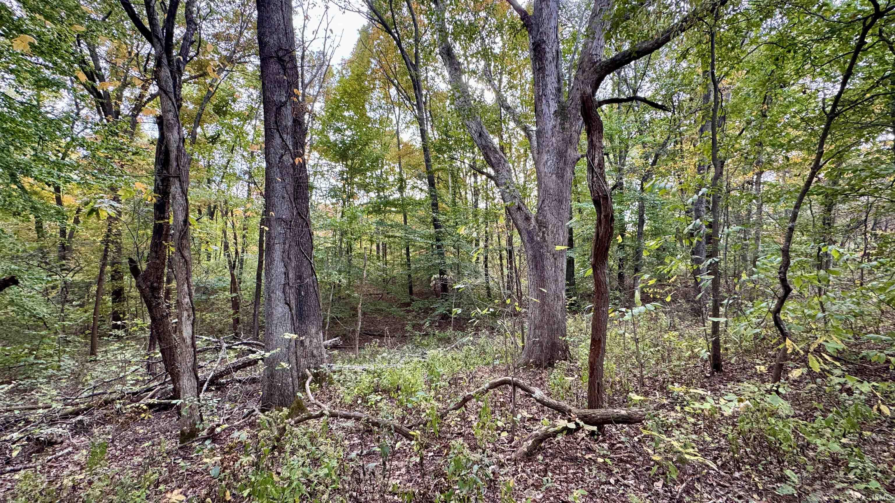 950 Earl Road Mitchell, IN 47446 - Photo 26 of 35