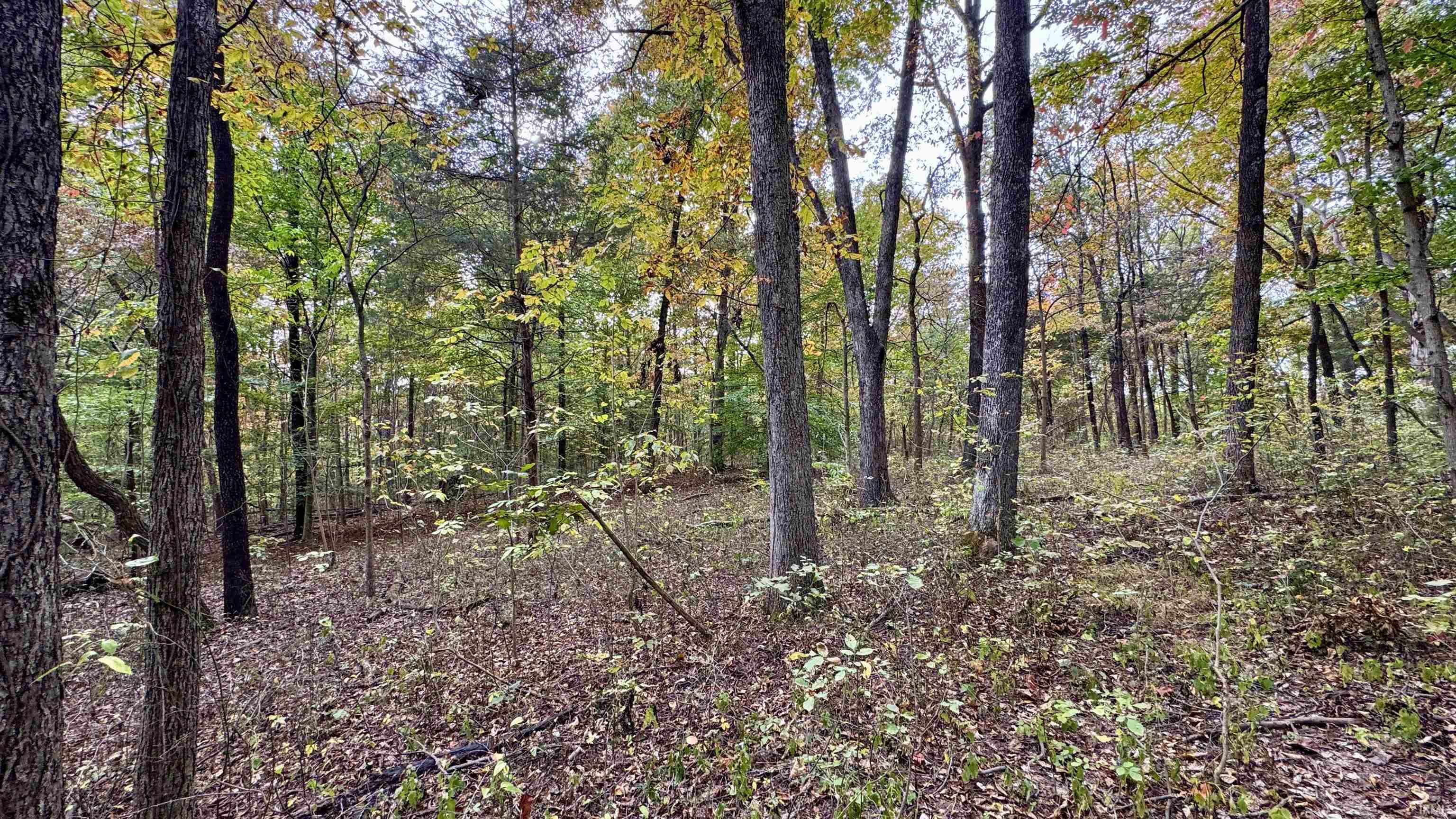 950 Earl Road Mitchell, IN 47446 - Photo 27 of 35