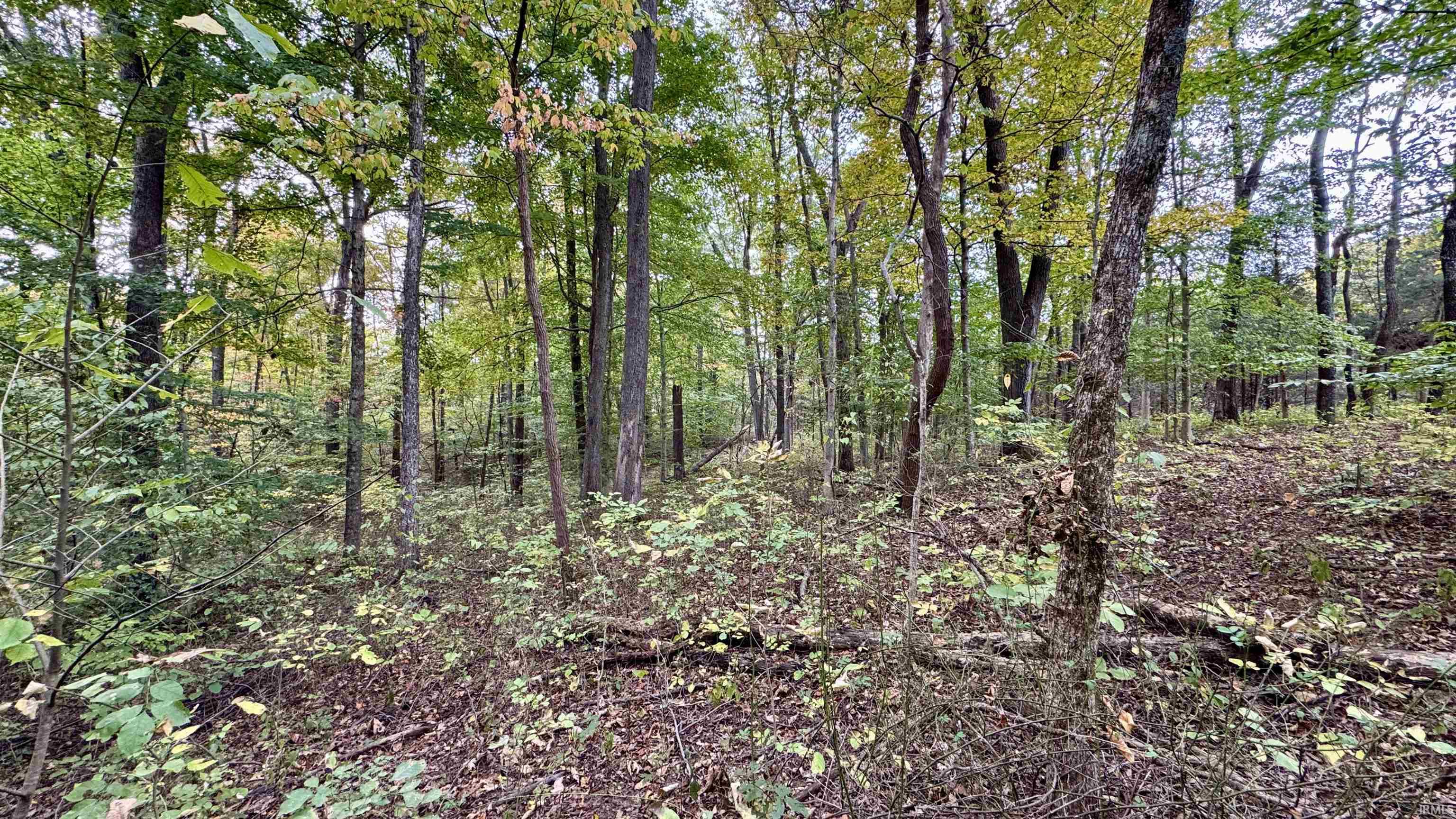 950 Earl Road Mitchell, IN 47446 - Photo 28 of 35