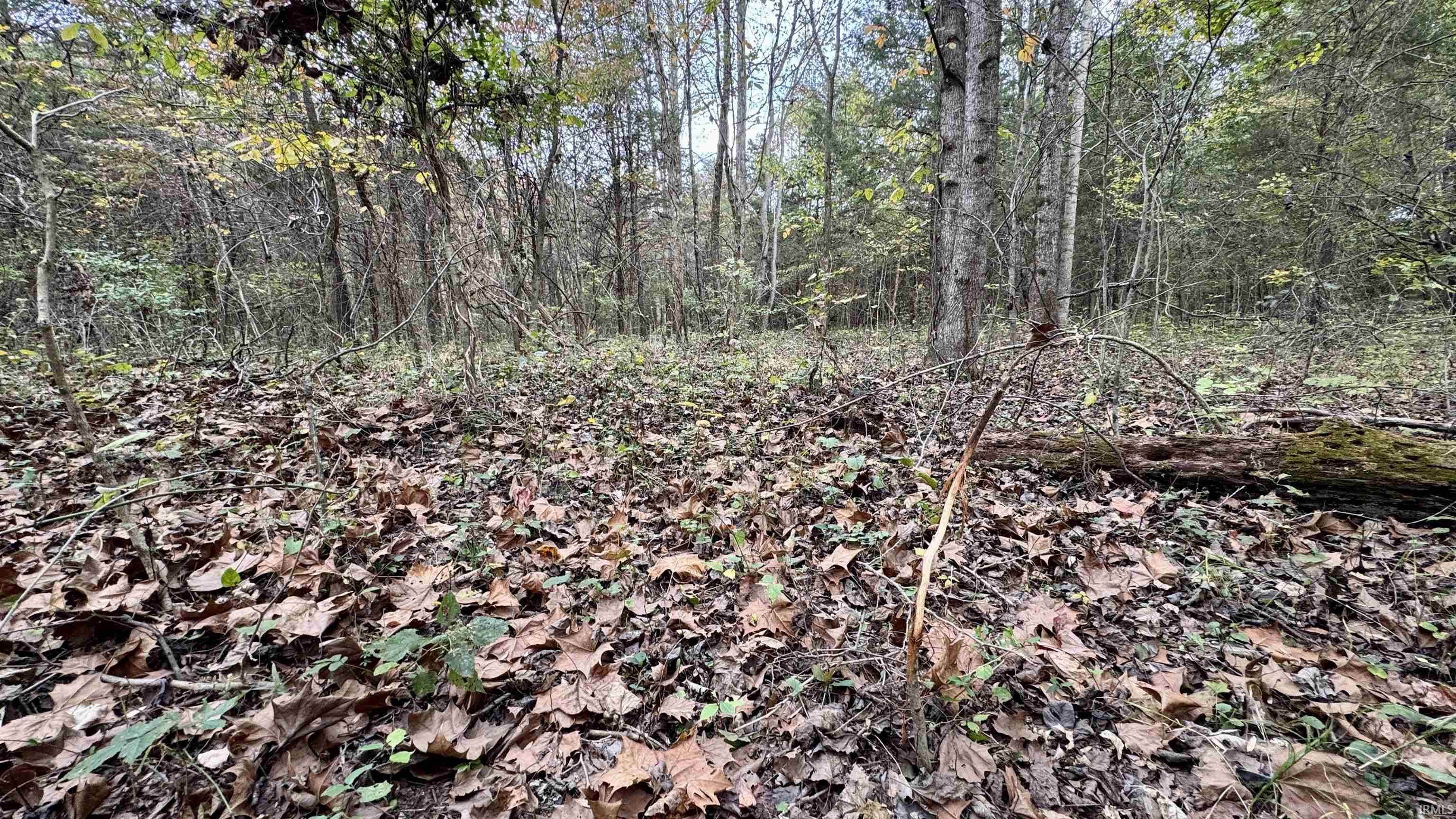 950 Earl Road Mitchell, IN 47446 - Photo 29 of 35