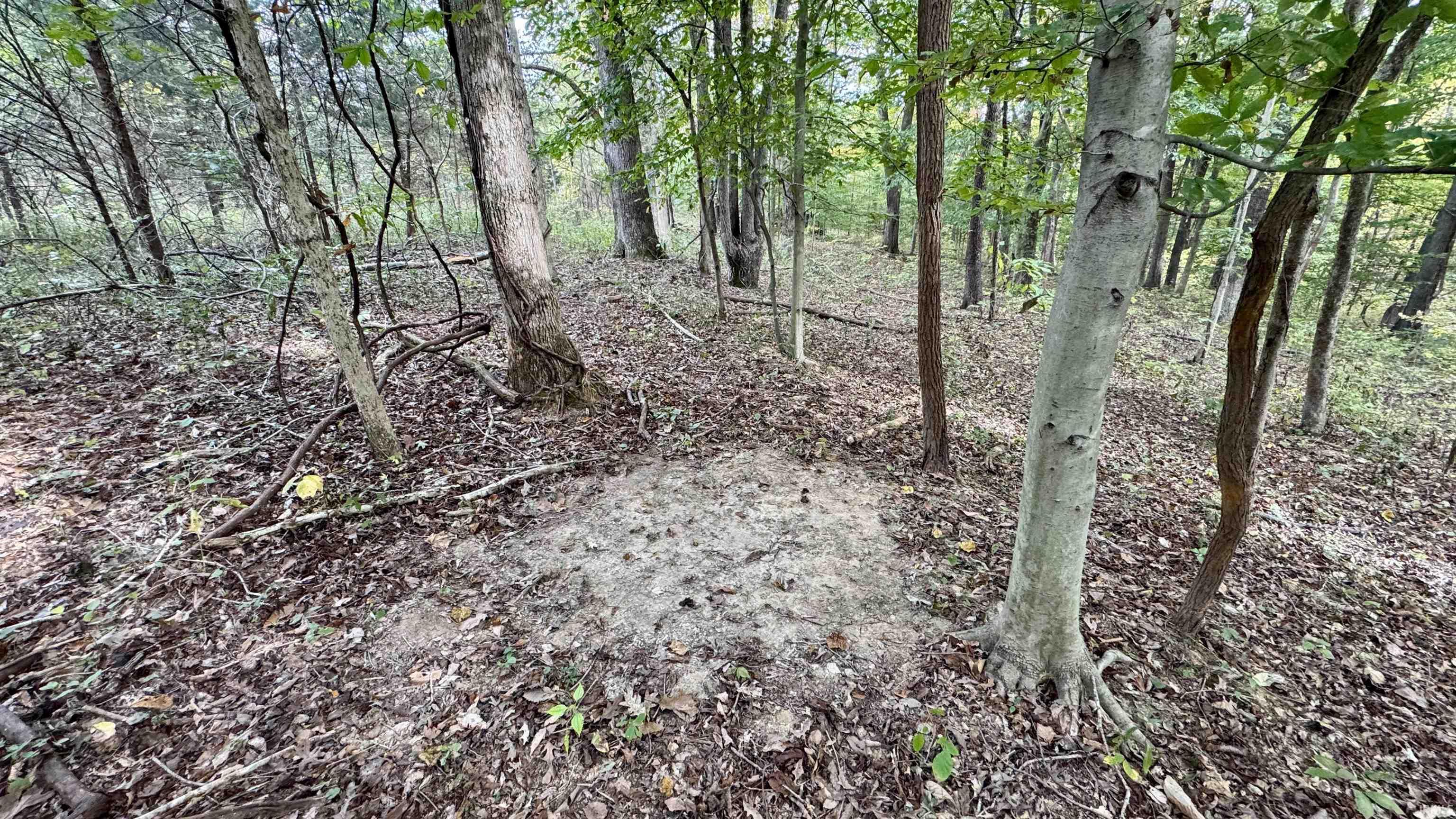 950 Earl Road Mitchell, IN 47446 - Photo 30 of 35