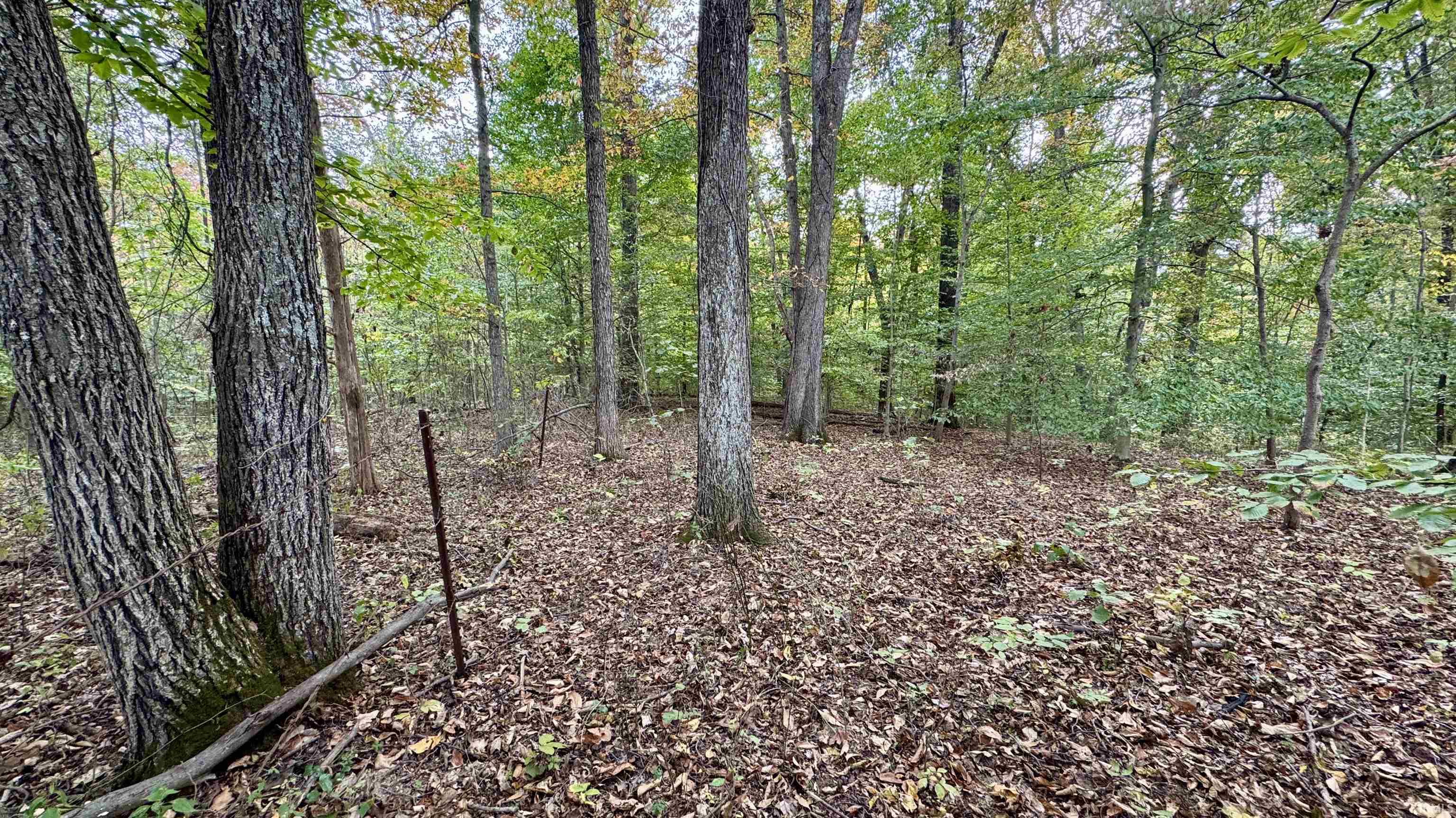 950 Earl Road Mitchell, IN 47446 - Photo 31 of 35