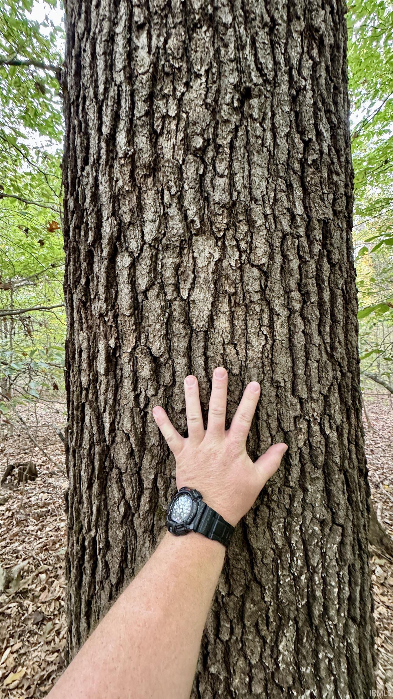 950 Earl Road Mitchell, IN 47446 - Photo 32 of 35