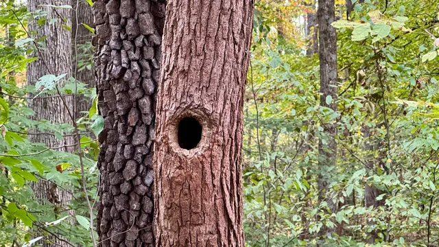 $272,500 | 950 Earl Road, Mitchell, IN 47446