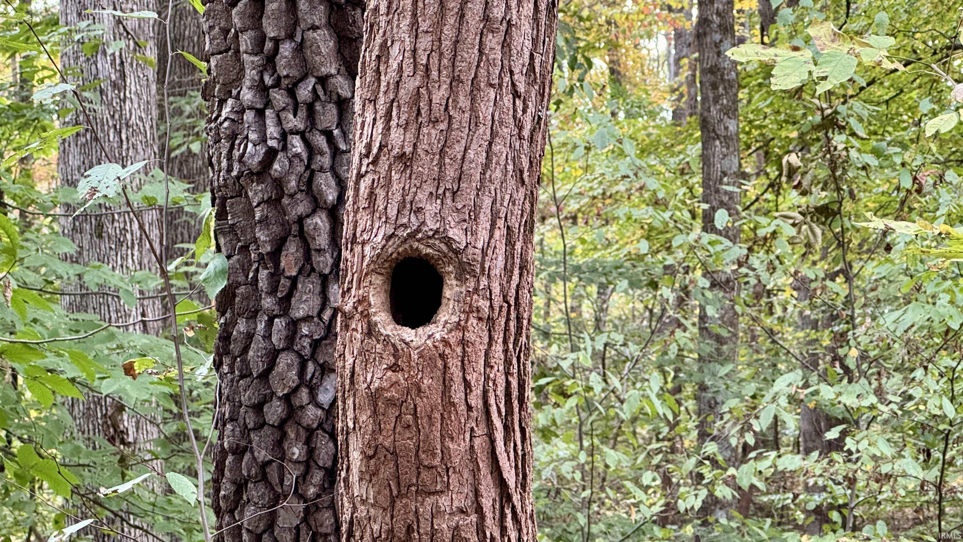 950 Earl Road Mitchell, IN 47446 - Photo 33 of 35