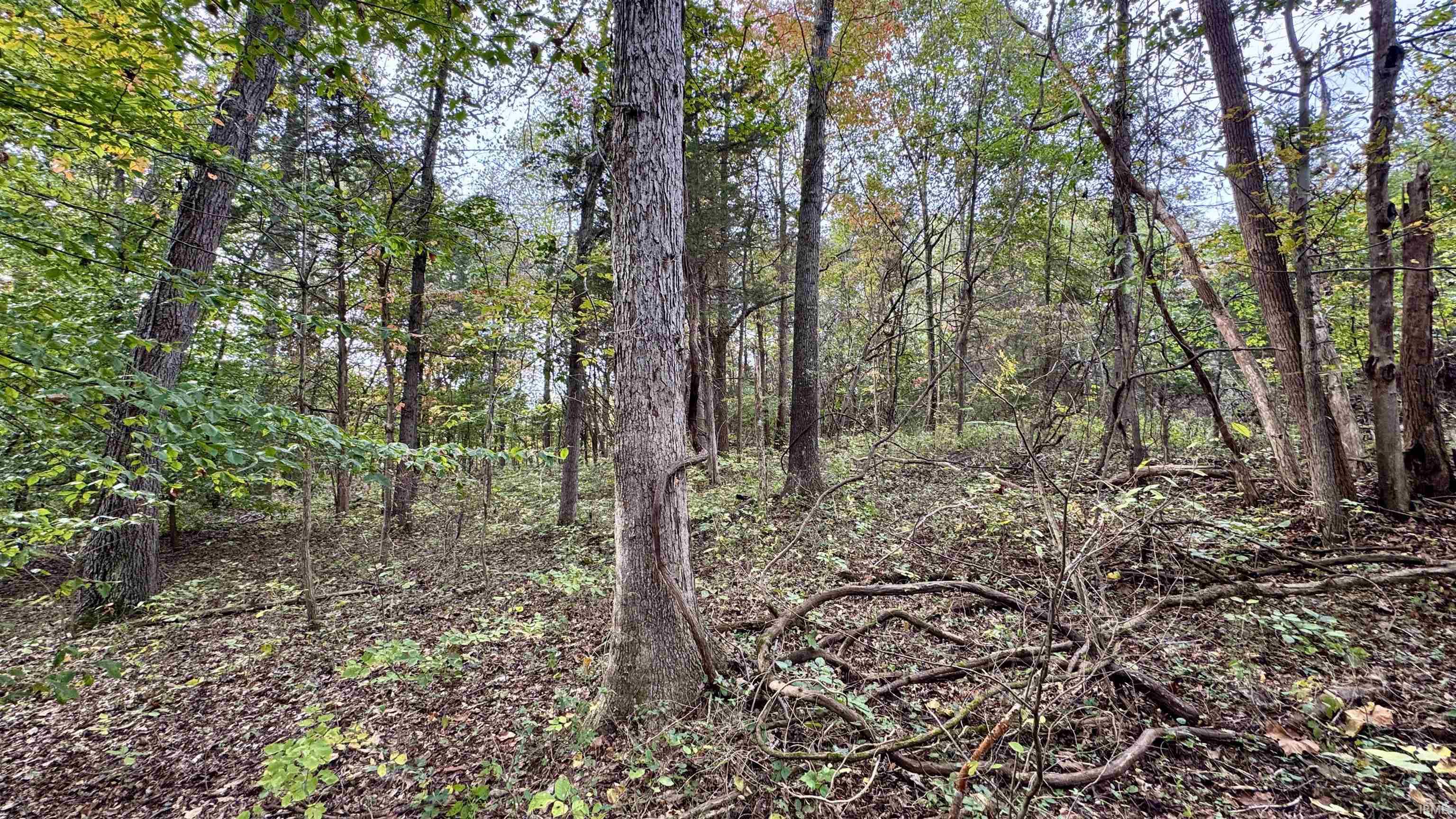 950 Earl Road Mitchell, IN 47446 - Photo 34 of 35