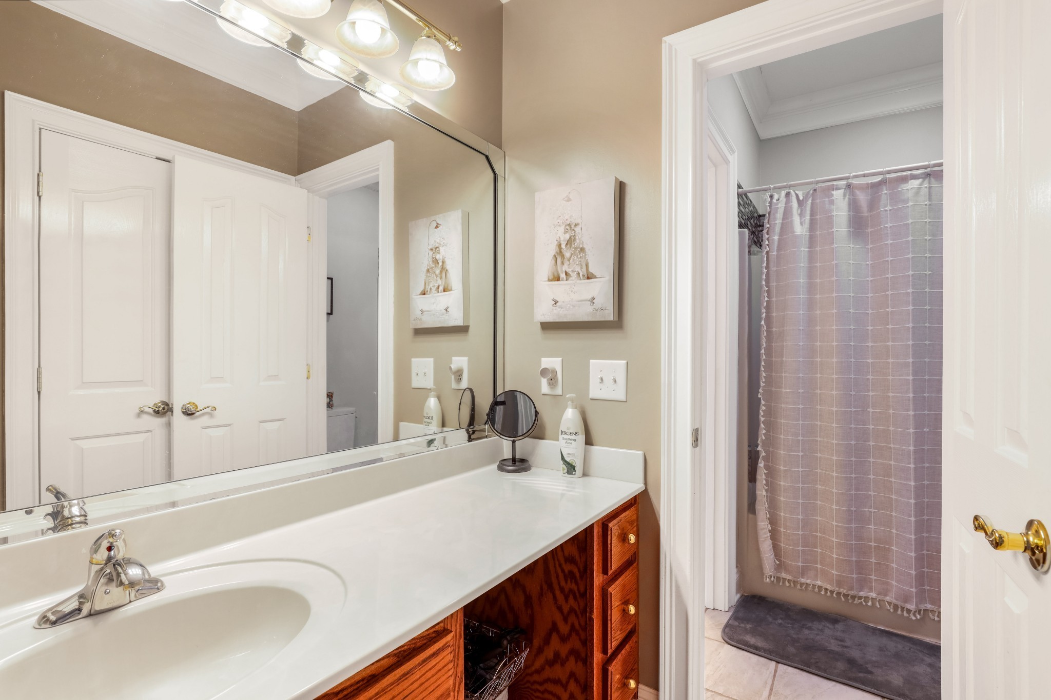 4984 Somerville Road Cross Plains, TN 37049 - Photo 56 of 57 a bathroom with a sink and a mirror