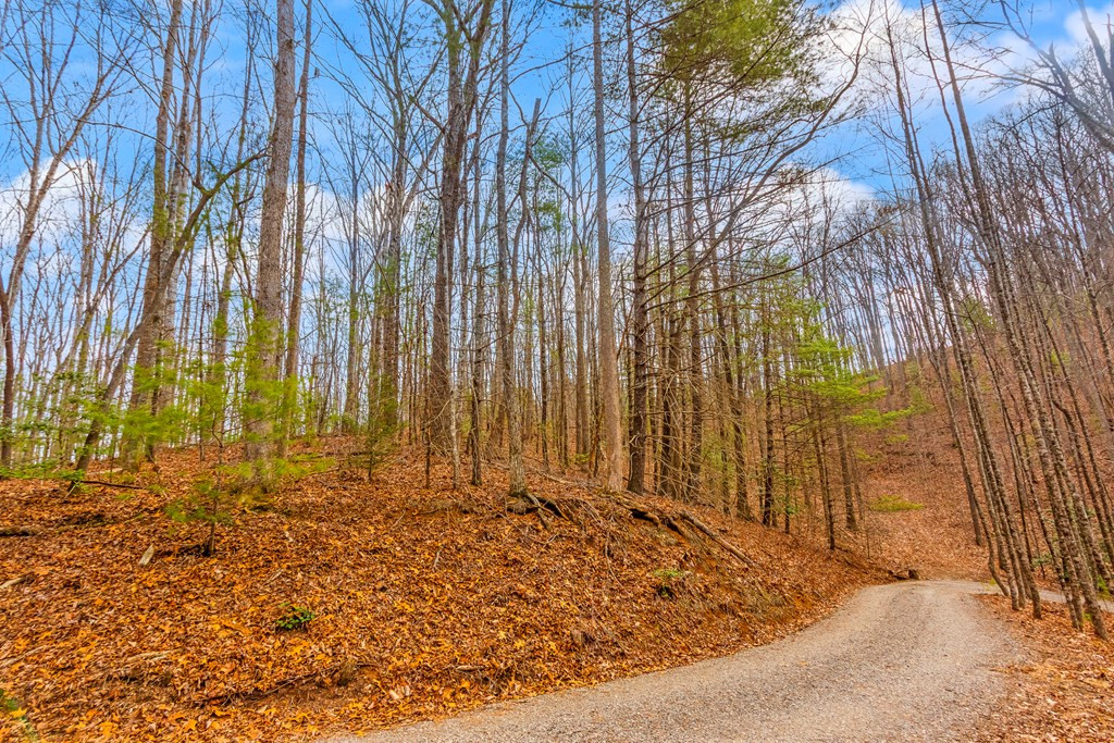 1.03-ac Guy Eller Road Murphy, NC 28906 - Photo 20 of 27