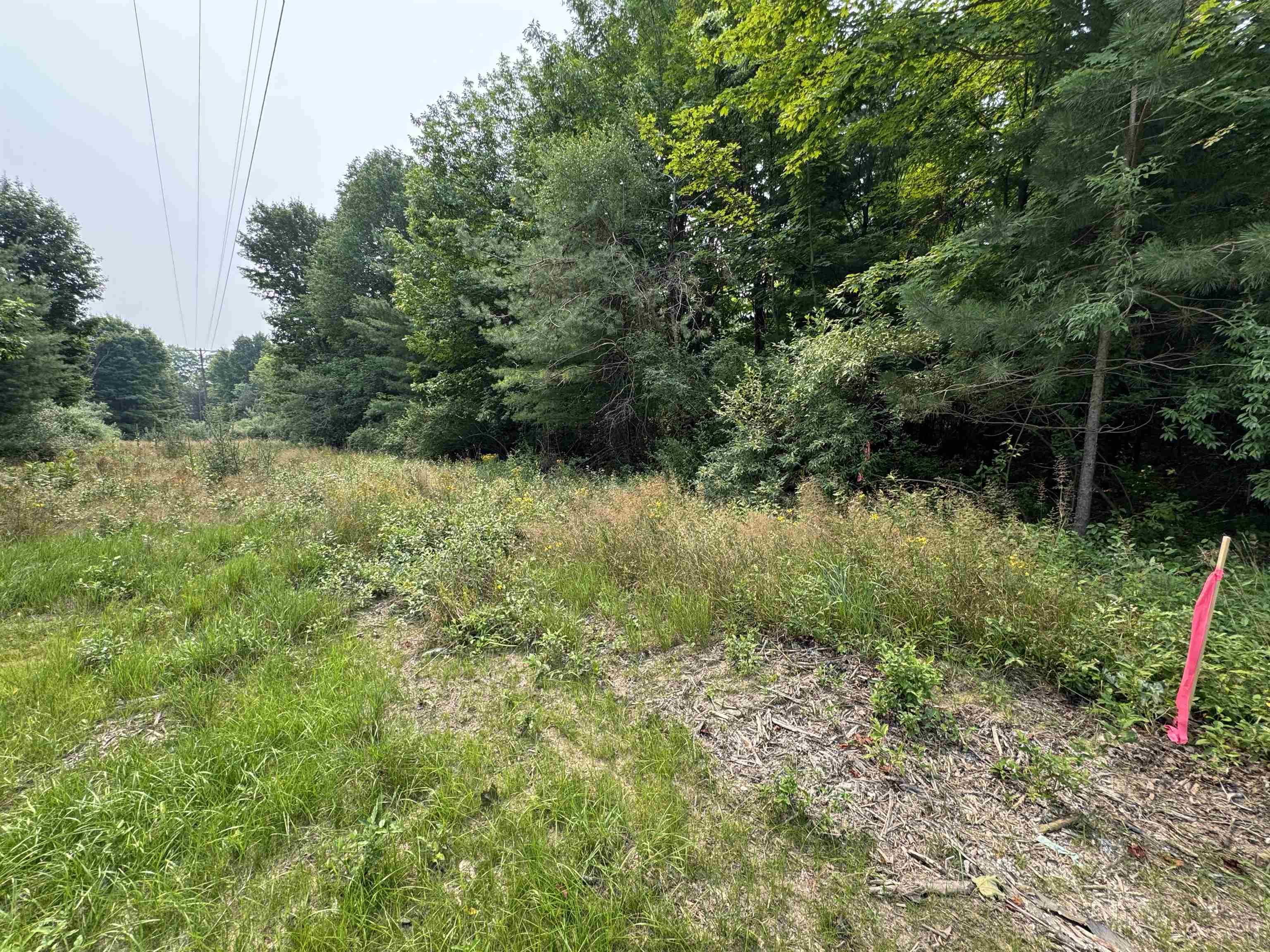 Lot #2 East Bellinger Road, Unit BELLINGER ESTATES Cedar, MI 49621 - Photo 14 of 19