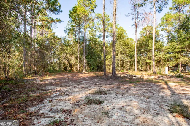 $283,500 | 4858 Stanfield Circle, Blackshear, GA 31516