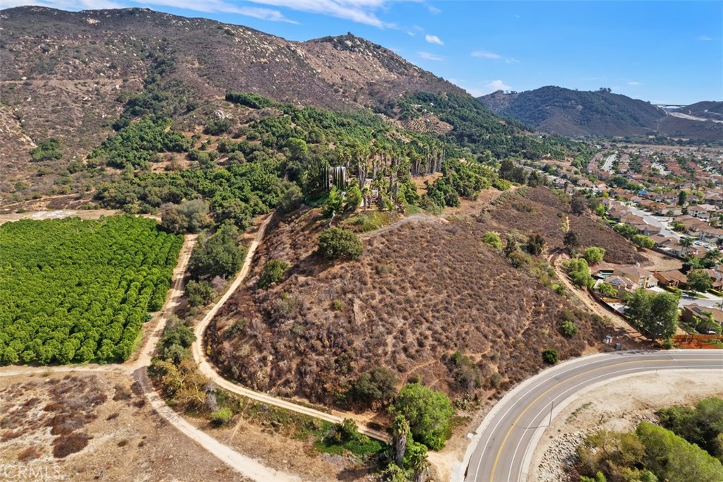 3264 Shearer Crossing Fallbrook, CA 92028 - Photo 24 of 41 a view of a forest with a mountain