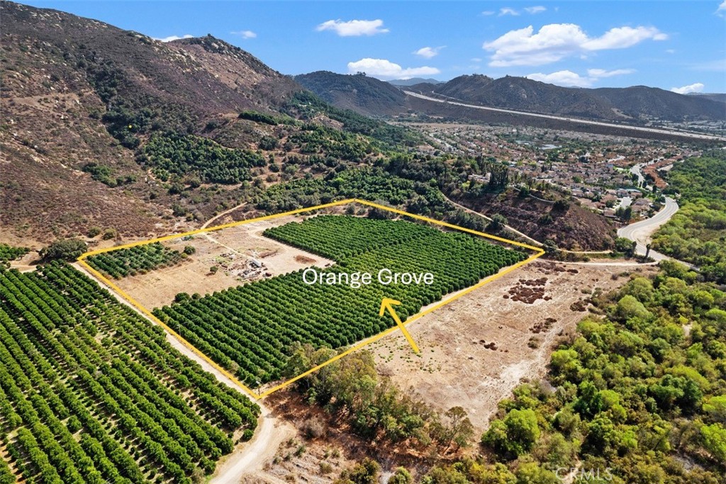 3264 Shearer Crossing Fallbrook, CA 92028 - Photo 27 of 41 a view of a backyard