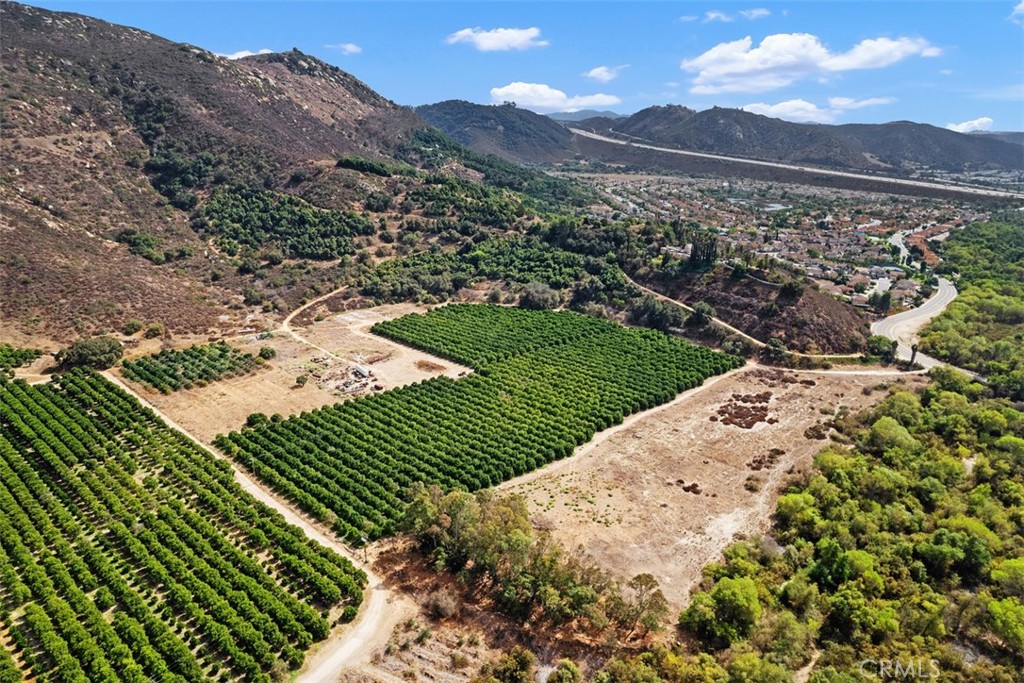3264 Shearer Crossing Fallbrook, CA 92028 - Photo 29 of 41 a view of a backyard with a garden