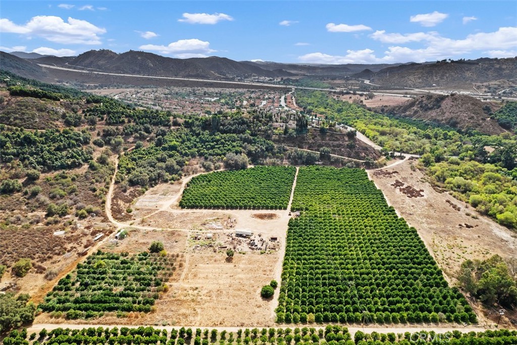 3264 Shearer Crossing Fallbrook, CA 92028 - Photo 30 of 41 Orange Grove