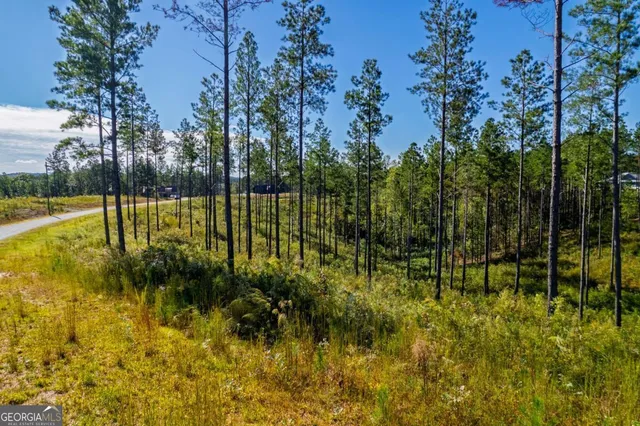 $84,900 | Lot 140 River Reach Lane, Talking Rock, GA 30175