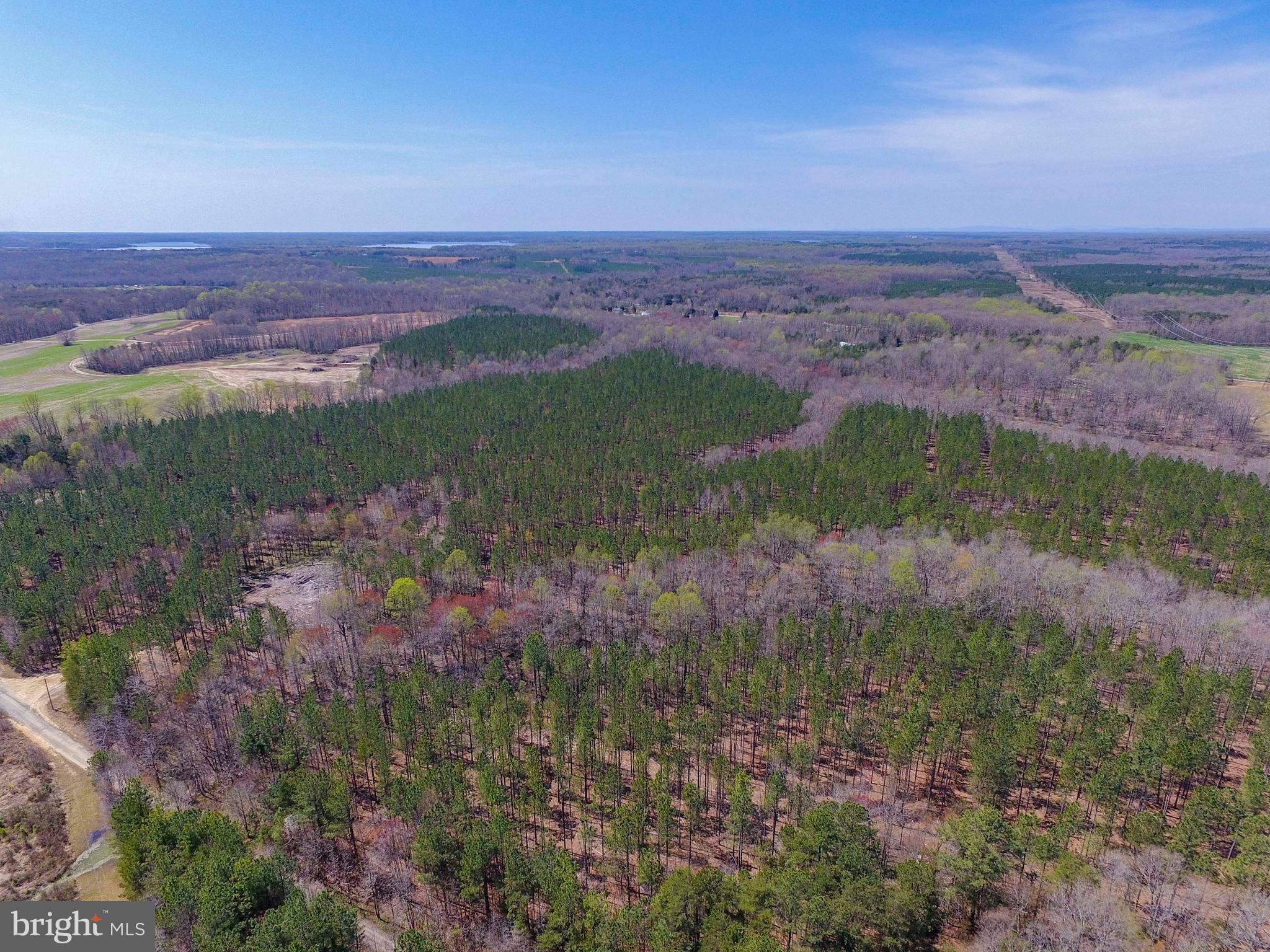 Parcel B Fairview Road Partlow, VA 22534 - Photo 3 of 11