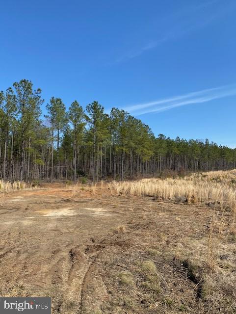 Parcel B Fairview Road Partlow, VA 22534 - Photo 5 of 11