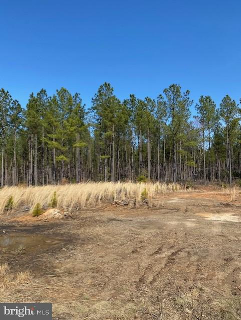 Parcel B Fairview Road Partlow, VA 22534 - Photo 6 of 11