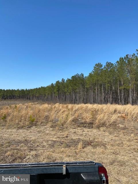 Parcel B Fairview Road Partlow, VA 22534 - Photo 8 of 11