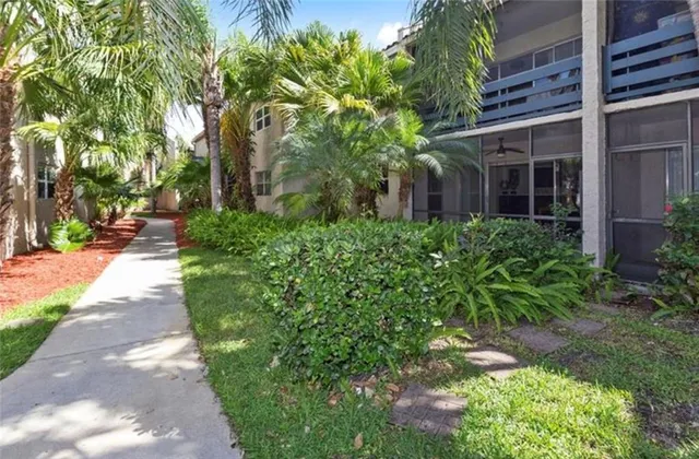 a view of a yard with plants and trees