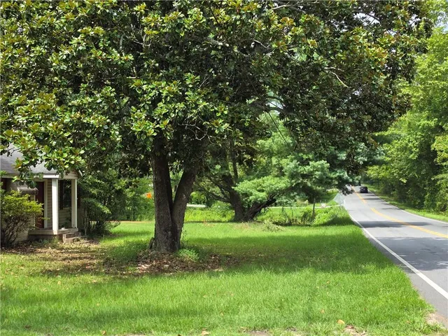 a view of a garden with a tree