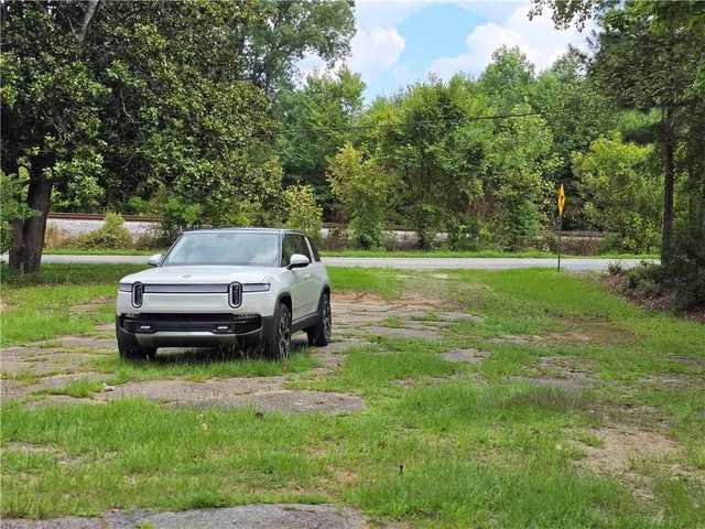 a view of a park with large trees