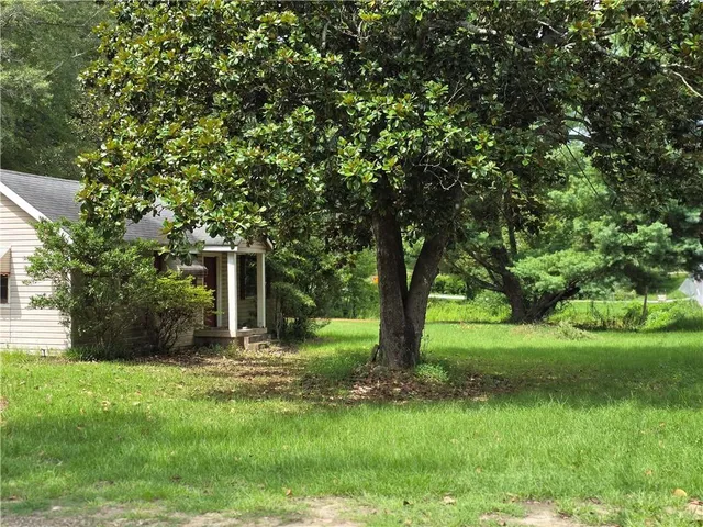 a view of a backyard with large trees