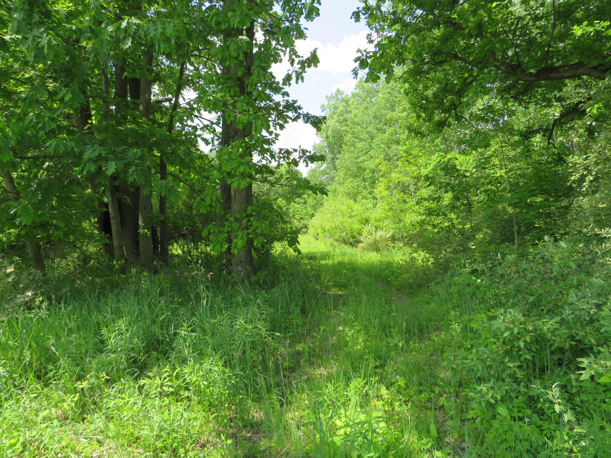 2347 West Maple Road Perrinton, MI 48871 - Photo 36 of 64 IMG_4242