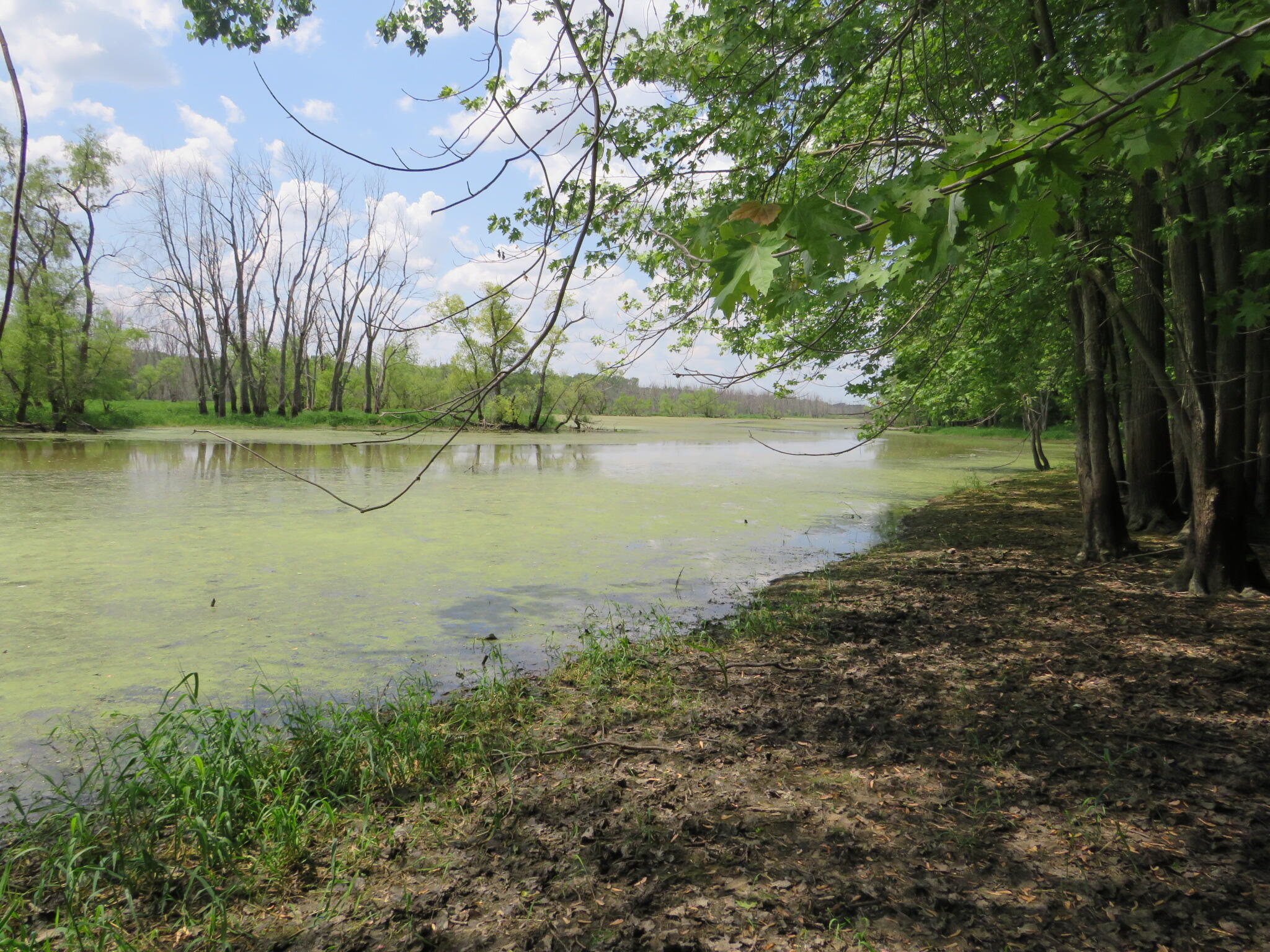 2347 West Maple Road Perrinton, MI 48871 - Photo 47 of 64 IMG_4277